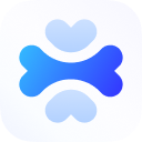 Favicon of apidog