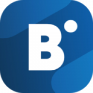 Favicon of bidvertiser