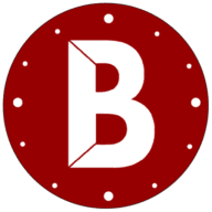 Favicon of bizimply