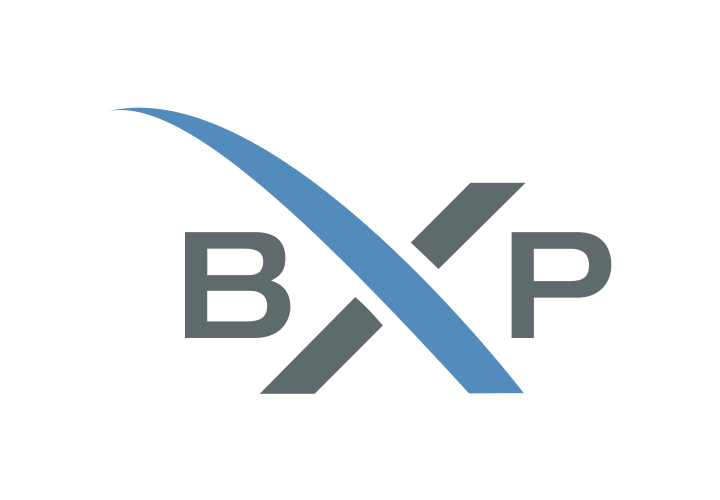 Favicon of bp logix bpms
