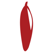 Favicon of chillidb