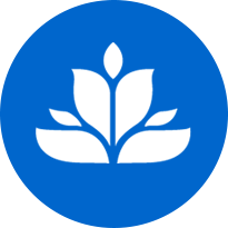 Favicon of salestools io