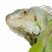 Favicon of seosamba email marketing