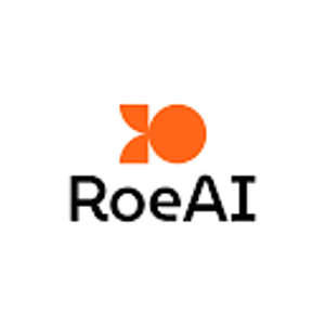Favicon of roe ai
