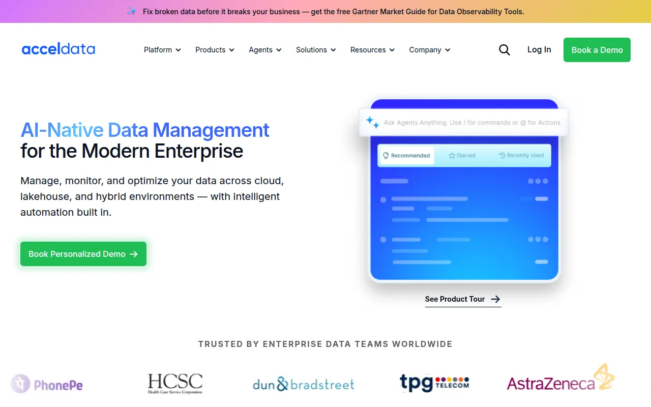 acceldata software interface screenshot