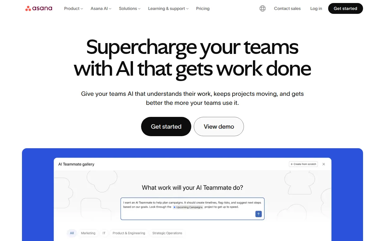 asana pm software interface screenshot
