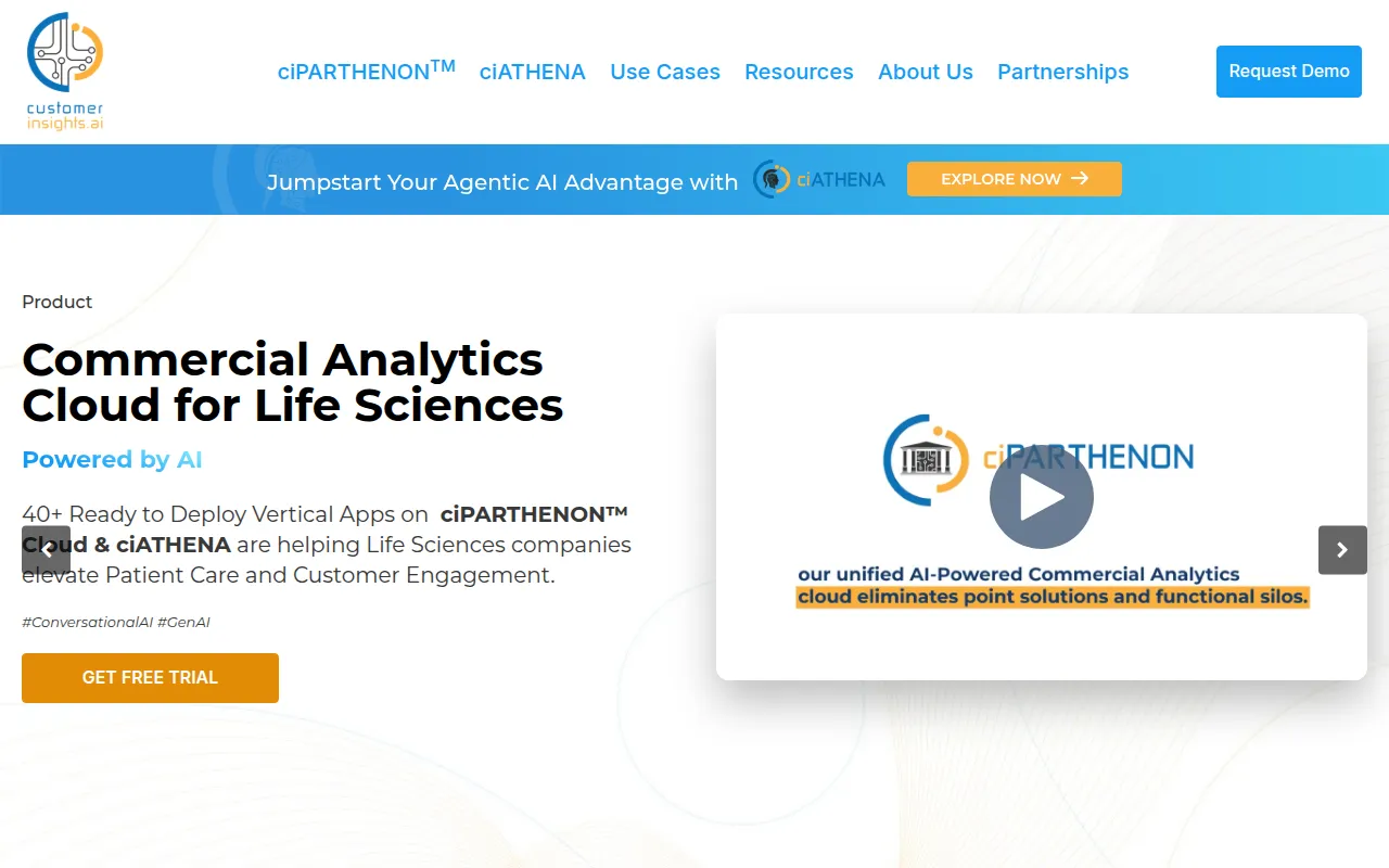 customer insights software interface screenshot