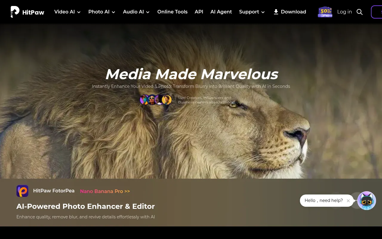HitPaw Online AI Watermark Remover software interface screenshot