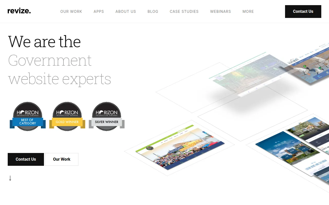 revize apps software interface screenshot